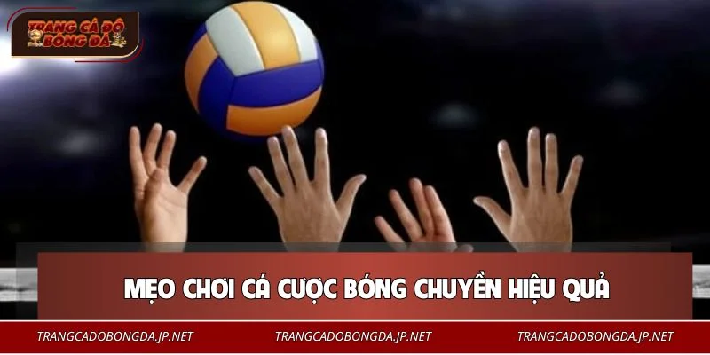 Chiến lược cá cược bóng chuyền dễ dàng ăn đậm