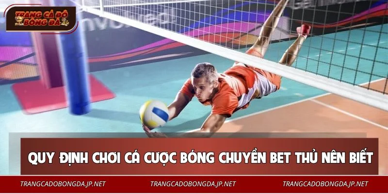 Quy tắc cá cược bóng chuyền cơ bản cho người mới