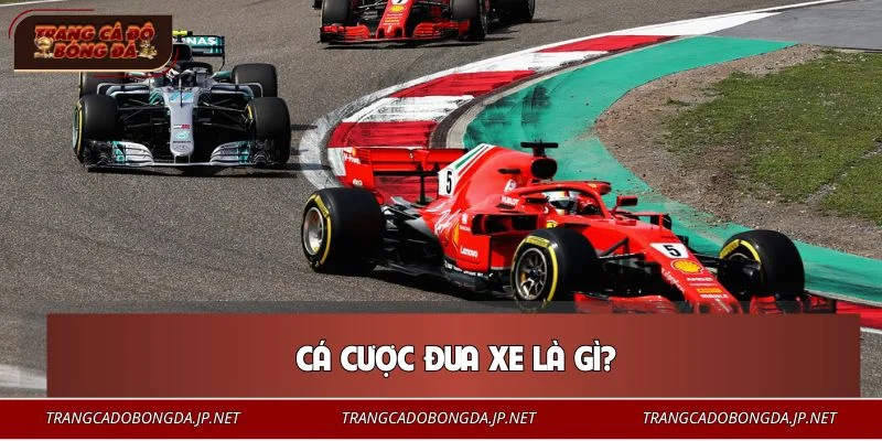 Cá cược đua xe là loại hình giải trí khá quen thuộc