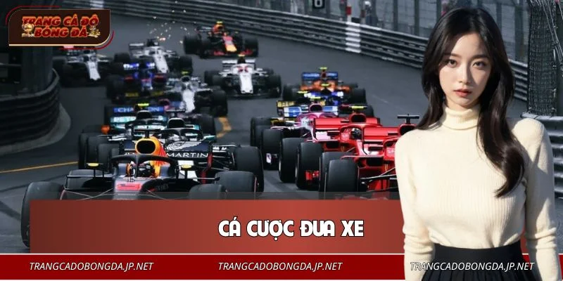 Cá Cược Đua Xe - Hướng Dẫn Chơi An Toàn, Hiệu Quả Cho Bạn