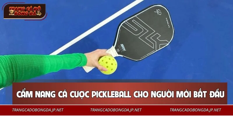 Hướng dẫn tham gia cá cược Pickleball cho tân thủ