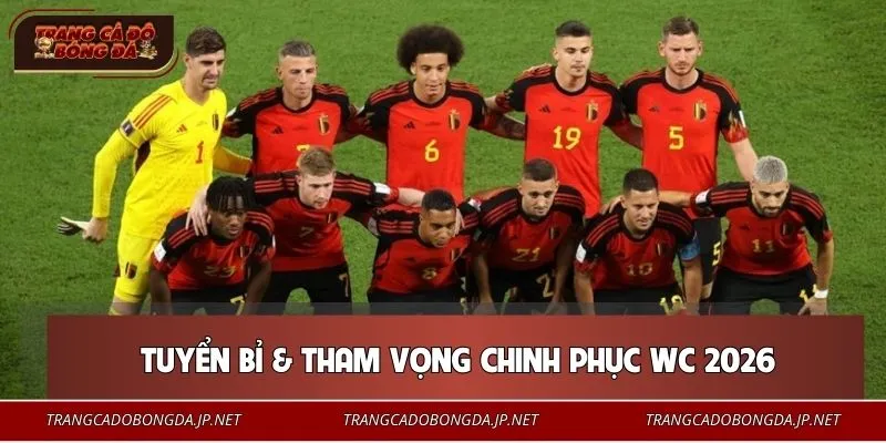 Tổng quan về đội tuyển Bỉ