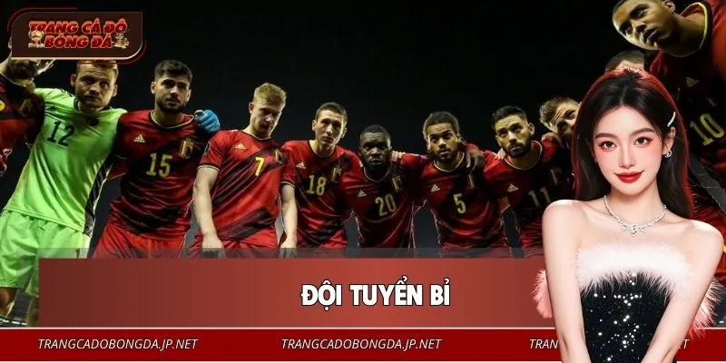 Đội tuyển Bỉ Và Chiến Dịch Săn Cúp Vàng World Cup Cực Cháy