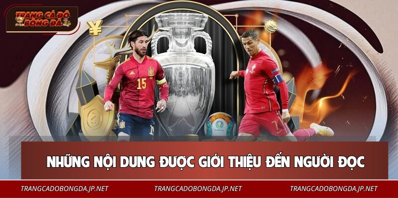Những nội dung hấp dẫn được giới thiệu đến người đọc