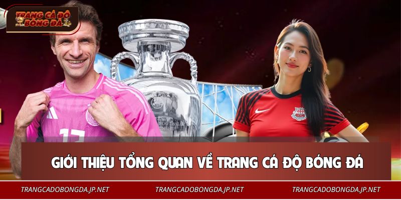Giới thiệu tổng quan về trang cá độ bóng đá hàng đầu