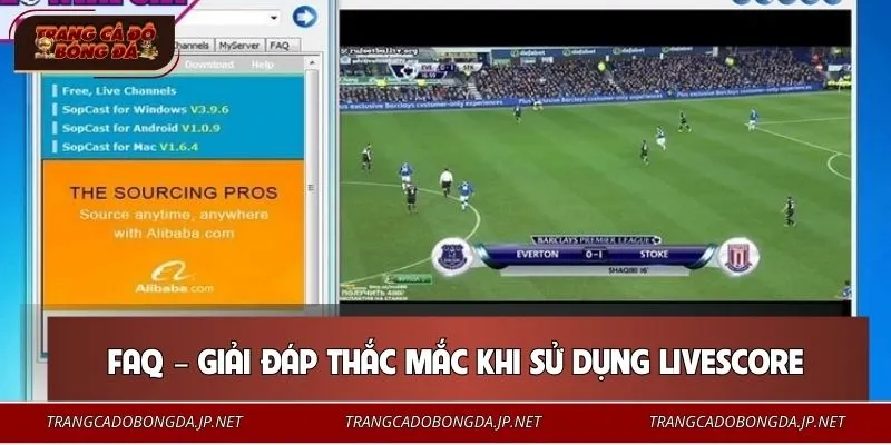 Câu hỏi thường xuất hiện khi sử dụng Livescore