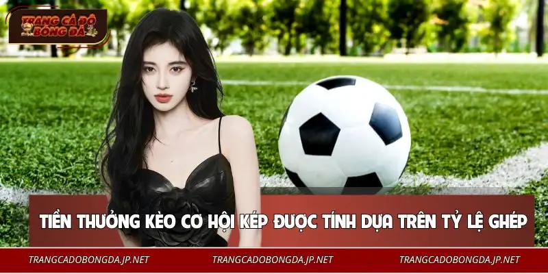 Mẹo Chơi Kèo Cơ Hội Kép | Tăng 66% Tỷ Lệ Chiến Thắng Hiểu rõ cách tính để quản lý vốn tốt hơn