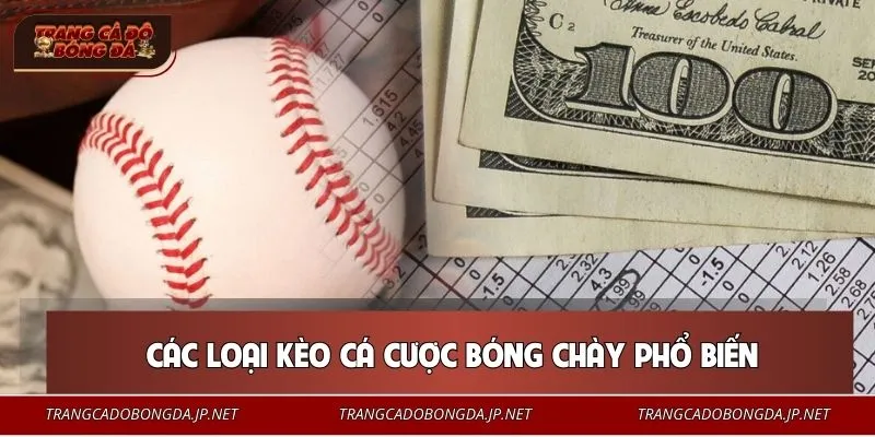 Hệ thống kèo bóng chày cực phong phú