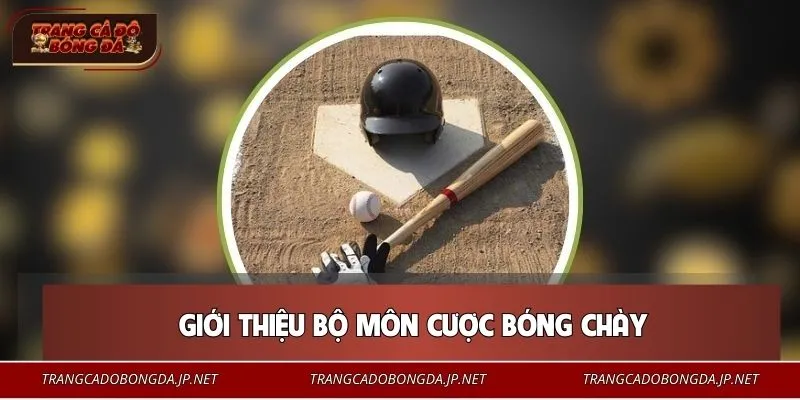 Tổng quan về sân cược bóng chày