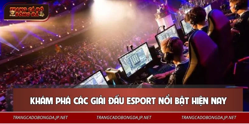 Điểm qua những giải đấu cá cược Esport đình đám