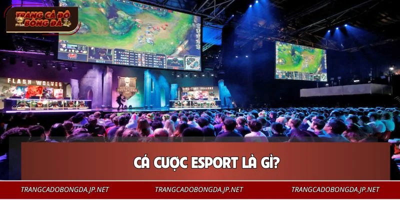 Game thủ nên hiểu rõ khái niệm cá cược Esport