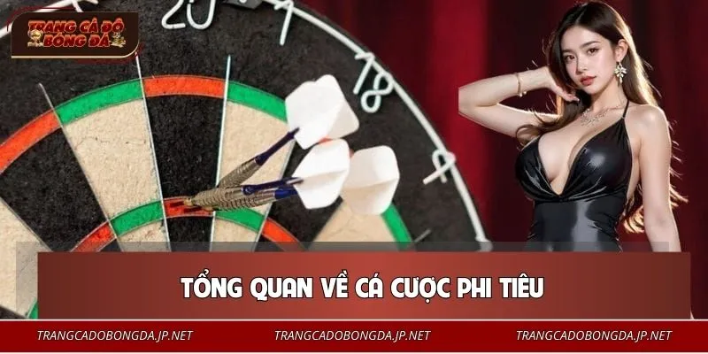 Đôi nét về bộ môn cá cược phi tiêu