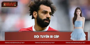 Đội Tuyển Ai Cập – Chuẩn Mực Thành Tích Các Giải Châu Lục