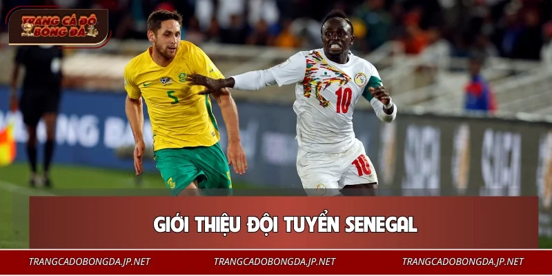 Giới thiệu đội tuyển Senegal