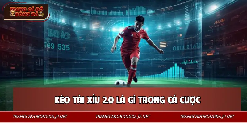 Hiểu về kèo tài xỉu 2 trái